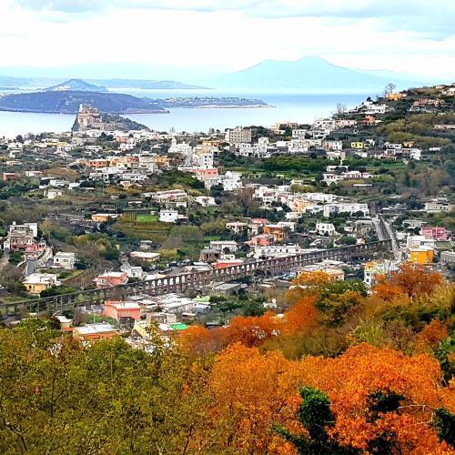Hotel Parco Conte Casamicciola Terme Екстер'єр фото