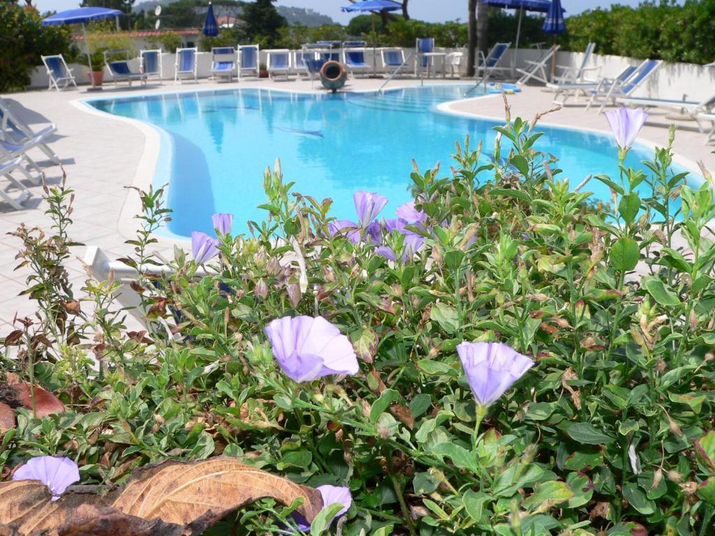Hotel Parco Conte Casamicciola Terme Екстер'єр фото