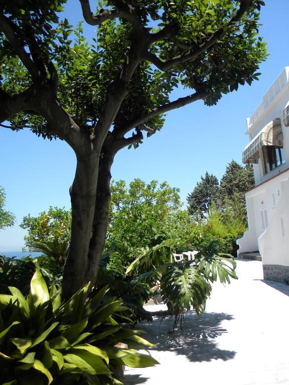 Hotel Parco Conte Casamicciola Terme Екстер'єр фото