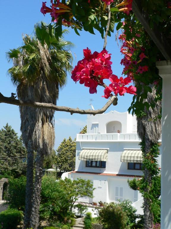 Hotel Parco Conte Casamicciola Terme Екстер'єр фото